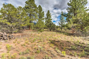 Cozy Buena Vista Apartment Less Than 4 Mi to Main Street!